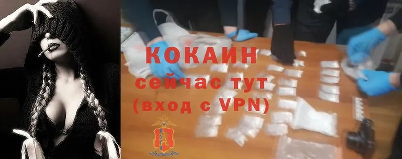 Cocaine 99%  сколько стоит  Шумерля 