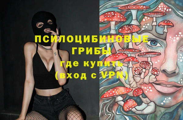 PSILOCYBIN Богородицк